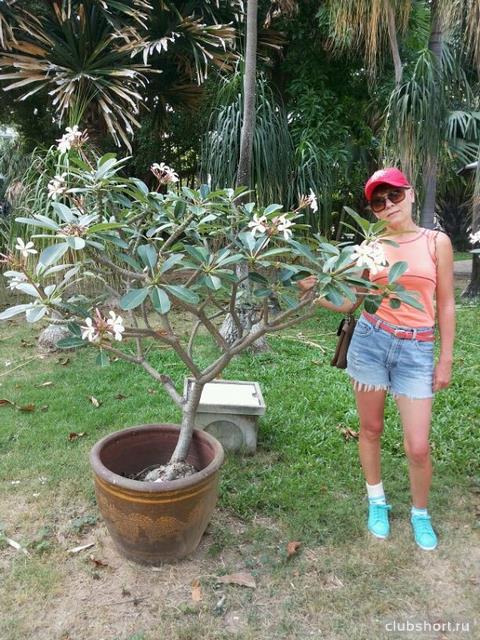 22891_image-70.jpg